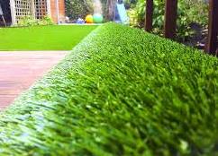 lawn turf